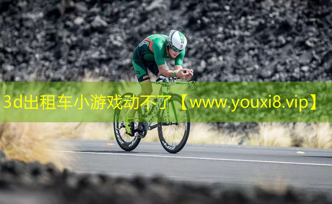 3d出租車小游戲動不了