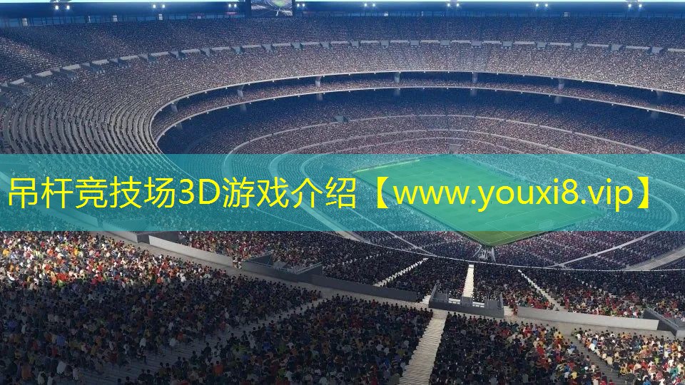 吊桿競技場3D游戲介紹