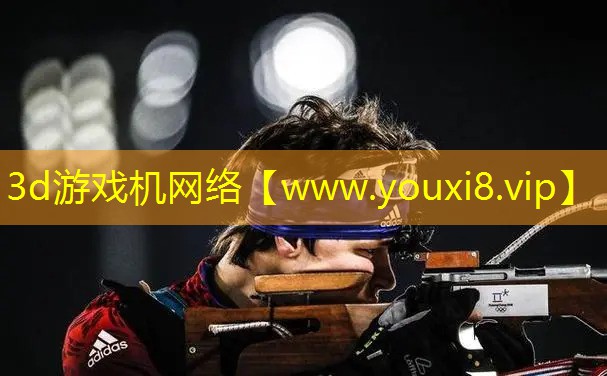 3d游戲機(jī)網(wǎng)絡(luò)