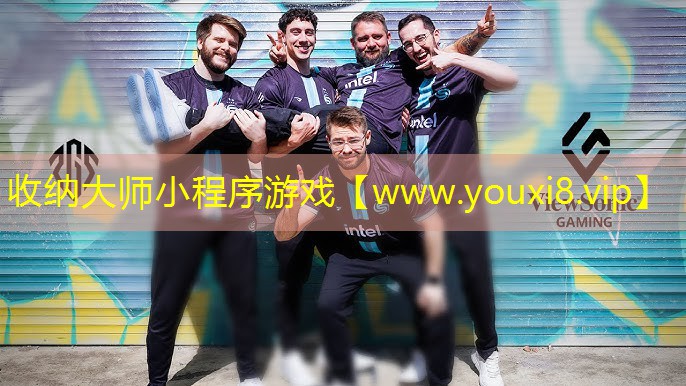 收納大師小程序游戲