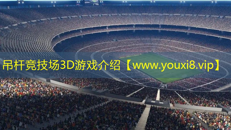 吊桿競技場3D游戲介紹
