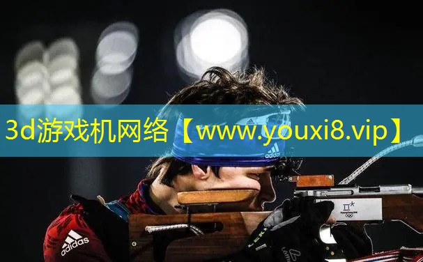 3d游戲機(jī)網(wǎng)絡(luò)