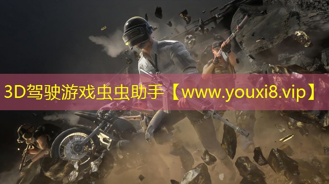3D駕駛游戲蟲蟲助手