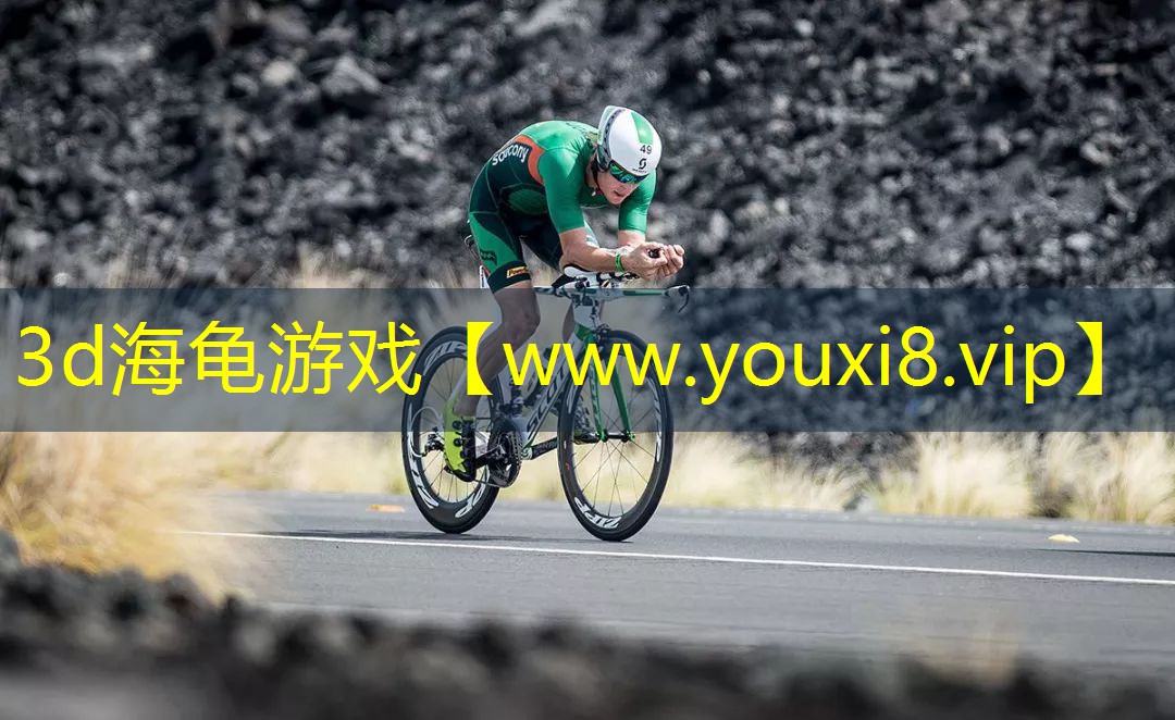 3d海龜游戲